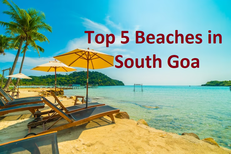 Top 5 Beaches in South Goa: Sun, Sand, and Serenity