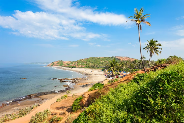 Exploring Anjuna: A Beach Lover