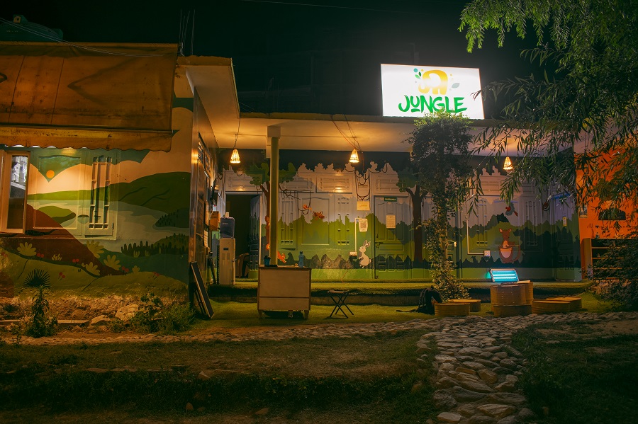 jungle hostel